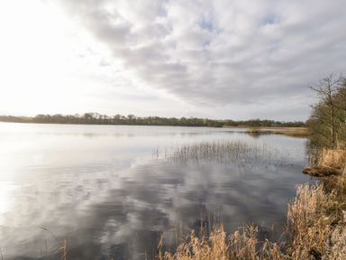 A lake with reeds and trees along the shore under a cloudy sky at The Waters Edge in Boyle County Roscommon