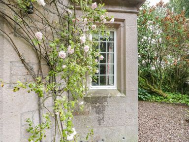 A window with climbing roses on a stone wall next to a gravel garden path and trees at The Lodge in Greystoke