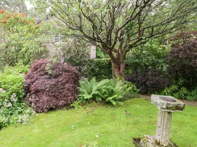 A garden with a stone birdbath a tree and various bushes at The Lodge in Greystoke