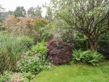 A garden with various plants bushes flowers and a tree at The Lodge in Greystoke