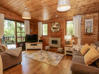 A wooden living room with a television sofa two stools a rug lamps and windows at Scafell Lodge in Skiptory Howe 7 White Cross Bay Holiday Park near Windermere