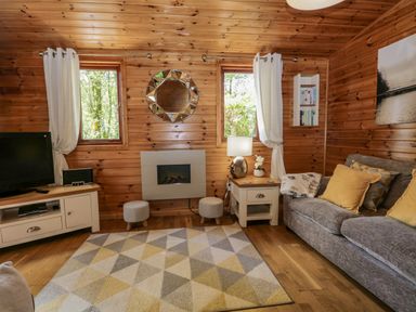 A living room with wooden walls a gray sofa yellow cushions a patterned rug and a TV on a cabinet at Scafell Lodge Skiptory Howe 7 White Cross Bay Holiday Park near Windermere