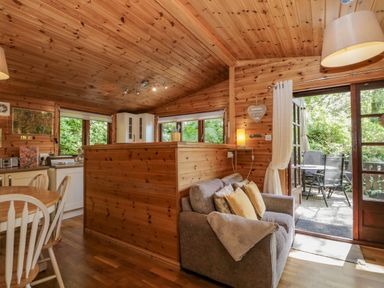 A wooden kitchen and living area with a sofa and dining table opening to an outdoor patio at Scafell Lodge in Skiptory Howe 7 White Cross Bay Holiday Park near Windermere