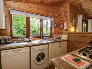 A kitchen with wooden walls and ceiling a large window above a countertop with a toaster dish drainer and sink a washing machine and dishwasher below the counter a gas stove and cleaning sponges on a wooden island at Scafell Lodge Skiptory Howe 7 White Cross Bay Holiday Park near Windermere