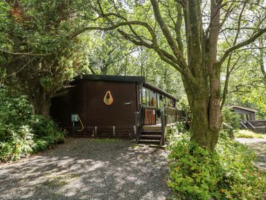 A wooden lodge with a small staircase surrounded by trees and plants at Scafell Lodge Skiptory Howe 7 White Cross Bay Holiday Park near Windermere