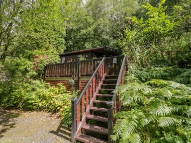 A wooden cabin with stairs leading up to a deck surrounded by dense greenery and trees at Scafell Lodge in Skiptory Howe 7 White Cross Bay Holiday Park near Windermere