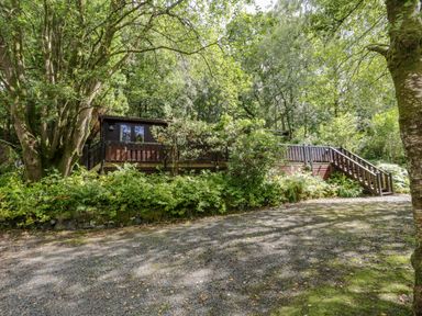 A wooden cabin surrounded by trees and greenery with a gravel driveway at Scafell Lodge Skiptory Howe 7 White Cross Bay Holiday Park near Windermere