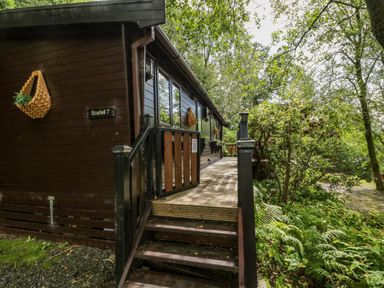 A wooden cabin entrance with steps and a small deck surrounded by trees and plants at Scafell Lodge Skiptory Howe 7 White Cross Bay Holiday Park near Windermere