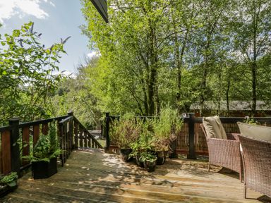 A wooden deck with outdoor wicker chairs and potted plants surrounded by trees at Scafell Lodge Skiptory Howe 7 White Cross Bay Holiday Park near Windermere