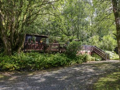 A wooden lodge with a deck and stairs surrounded by dense trees and greenery at Scafell Lodge Skiptory Howe 7 White Cross Bay Holiday Park near Windermere