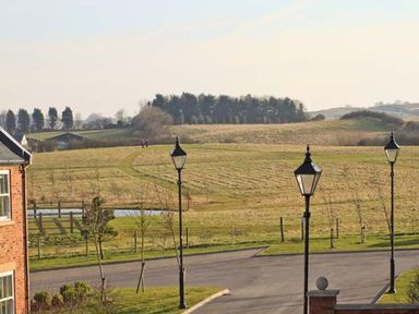A paved road with three street lamps and a grassy field with trees and a pond in the background at Meadow View in Filey