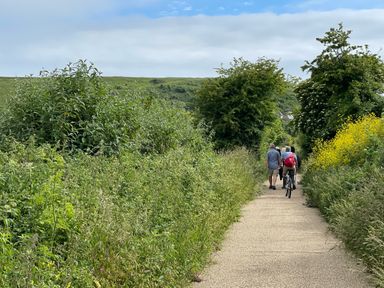 A gravel path with people walking and a person riding a bicycle surrounded by green bushes and trees