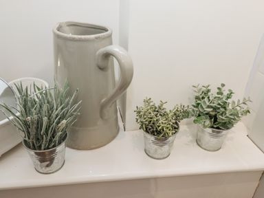 Three small potted plants and a ceramic jug on a white surface at Anchor Cottage in Whitby
