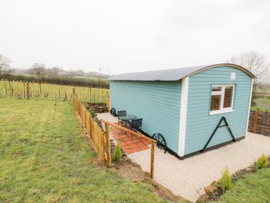 An outdoor area with a small teal wooden cabin a glass table and two chairs a wooden fence and grassy field at Robins Nest in Napton-On-The-Hill