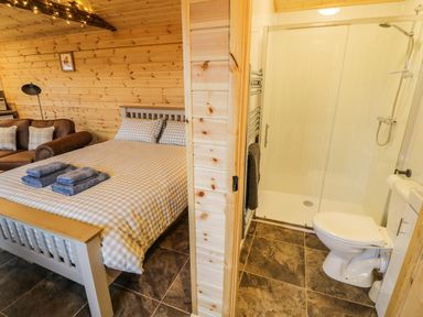 A bedroom with a bed and a sofa next to an adjacent bathroom with a toilet and shower at Robins Nest in Napton-On-The-Hill