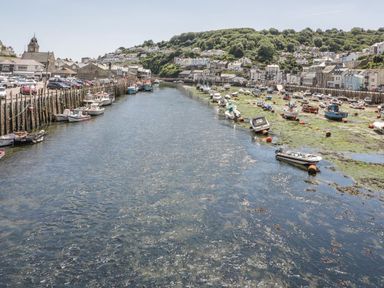 A harbor with boats docked along the water and houses on a hillside at Brewers Cottage in Looe