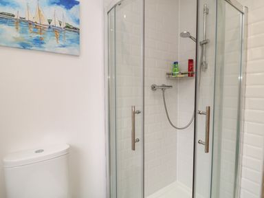 A bathroom with a glass shower enclosure a showerhead and a toilet with a painting of sailboats on the wall at Brewers Cottage in Looe