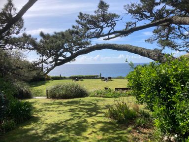 A garden with grass trees and benches overlooking the sea at Brewers Cottage in Looe