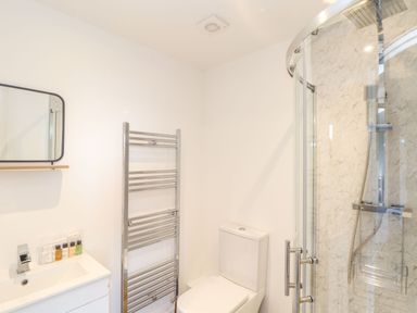 A bathroom with a sink and mirror a heated towel rail a toilet and a glass enclosed shower at Pickney House in Killigarth near Polperro