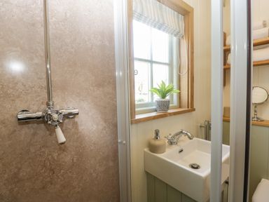 A bathroom with a sink soap dispenser plant on windowsill and shower controls at Acorn in Bleadon