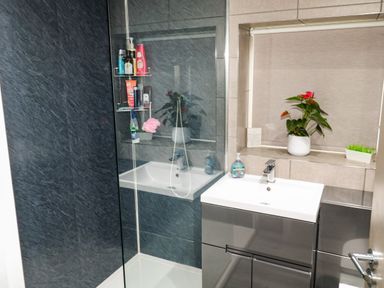 A bathroom with a shower area with toiletries a sink with a soap dispenser and plants on the window ledge at Sunnydene in Paignton