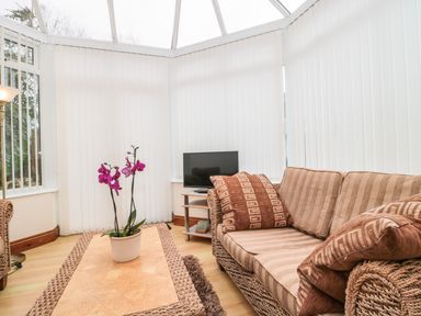 A conservatory with a wicker sofa with cushions a wicker coffee table with a potted orchid a floor lamp and a small TV on a stand at Little Walton in Burnham-On-Sea
