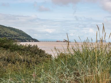 Grassy vegetation with a body of water and hills in the background at Little Walton in Burnham-On-Sea