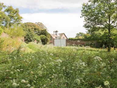 A garden with wildflowers and trees with a brick house and wall in the background at Caldhu Cottage in Holmrook
