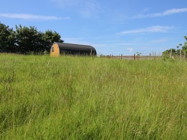 A grassy field with a small wooden pod building and a wooden fence in the background at Cherry Pod in Hookagate near Meole Brace