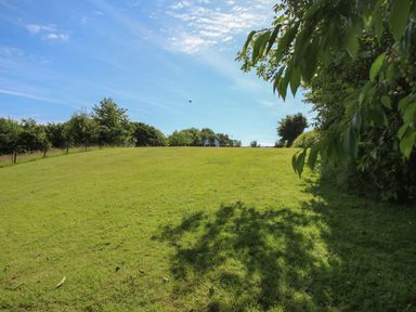 A grassy field with trees and a small structure in the distance at Cherry Pod in Hookagate near Meole Brace