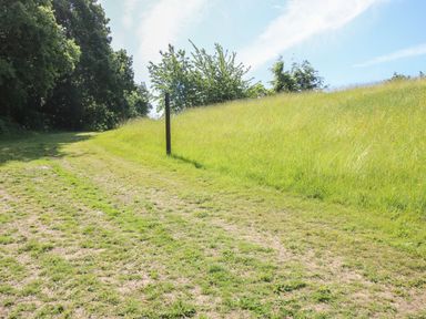 A grassy dirt path with wooden posts and trees at the side at Cherry Pod in Hookagate near Meole Brace