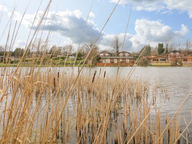 A lake with tall dry reeds in front of wooden lodges and trees at Elim in South Lakeland Leisure Village near Tewitfield