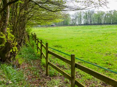 A green field bordered by a wooden fence with trees along one side at Southcott Farm Cottage in Sheldon