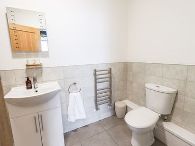 A bathroom with a sink, mirror, towel ring, heated towel rail, waste bin, and toilet at Aryelle House in Kendal