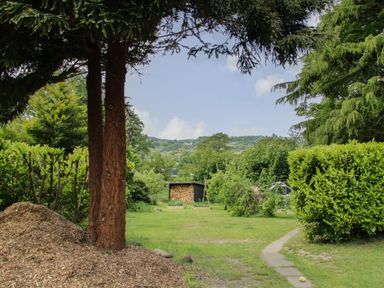 A garden with grass shrubs trees a woodpile and a pathway at The Old Stable in Henryd near Conwy
