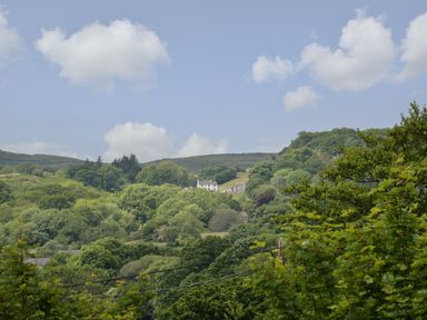 A hillside with dense green trees and a house surrounded by greenery at The Old Stable in Henryd near Conwy