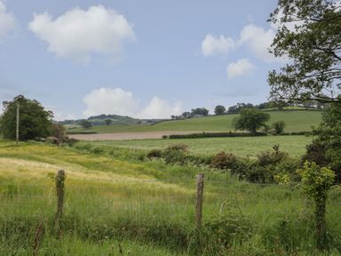 A rural landscape with grassy fields trees and hedges under a cloudy sky at The Old Stable in Henryd near Conwy
