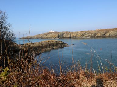 A coastal scene with rocky cliffs and calm water with dry vegetation in the foreground at The Headland in Llaneilian near Amlwch