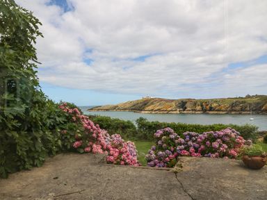 A garden with colorful flowers overlooking a body of water and rocky hills at The Headland in Llaneilian near Amlwch