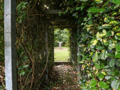 A garden pathway covered with leafy vines leading to a stone sculpture of an animal at The Headland in Llaneilian near Amlwch