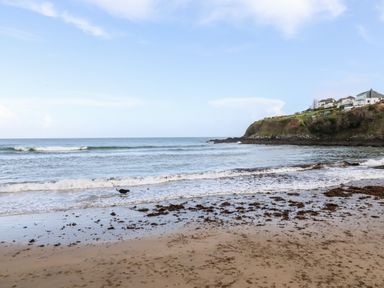 A sandy beach with seaweed a dog near the shore and houses on a cliff at EdyVean in Portmellon near Mevagissey