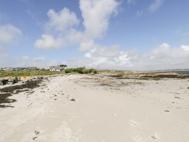 A sandy beach with seaweed and rocks near houses and greenery at Ti Tom Narta in Trabane near Lettermore County Galway