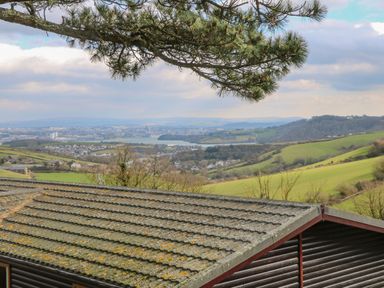 View of a tiled roof with a tree branch above and a landscape of fields and a town in the distance at Lodge 23 in Torpoint