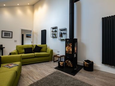 A living room with green sofas a wood burning stove and black radiators at Lowenda in Polzeath