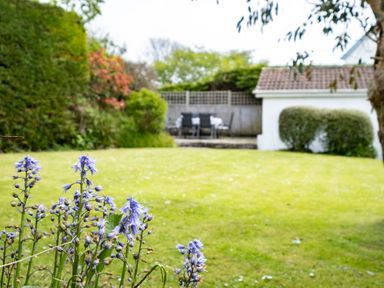 A garden with purple flowers in the foreground a lawn and outdoor seating area near a white building at Samphire Rock