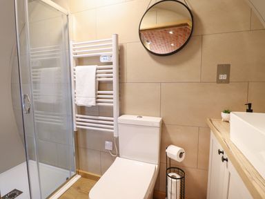 A bathroom with a shower enclosure towel radiator toilet round mirror and sink at Nant yr Esgair Mallwyd near Dinas Mawddwy