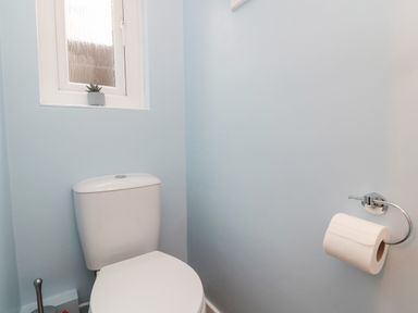 A toilet with a toilet paper holder on a light blue wall and a small window with a plant at 19 Duke Street in Alnwick