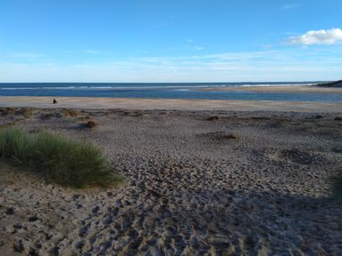 A sandy beach with patches of grass and a body of water under a blue sky at 19 Duke Street in Alnwick