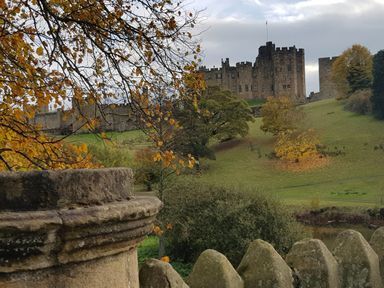 A castle on a hill with trees and a stone fence in the foreground at 19 Duke Street Alnwick