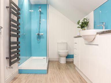 A bathroom with a shower enclosure, toilet, sink with cabinet, a plant on the counter, and a wall-mounted towel radiator at Penthouse 23 in Newquay